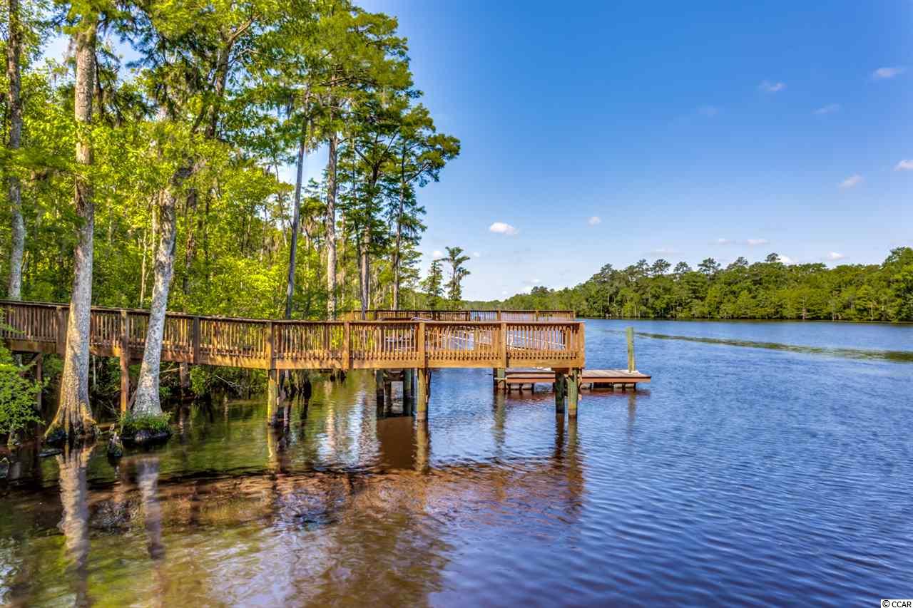 Lot 254 Chamberlin Road Myrtle Beach, SC 29588 - Photo 5 of 25 Gallery Image 5