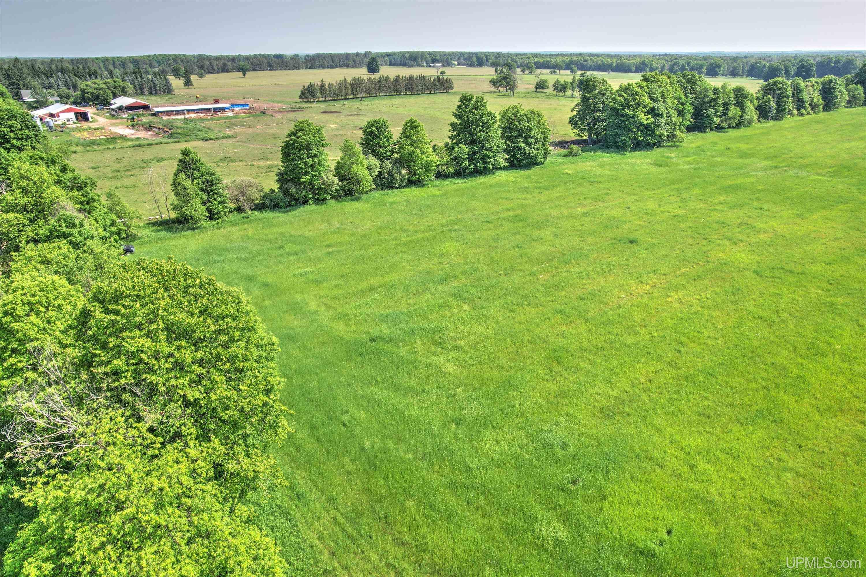 Tbd Tbd Tower Road Rapid River, MI 49878 - Photo 3 of 8