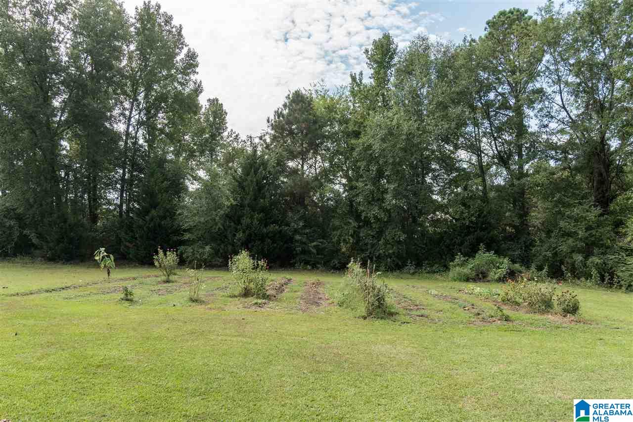 2080 Red Hill School Road Hayden, AL 35079 - Photo 49 of 50