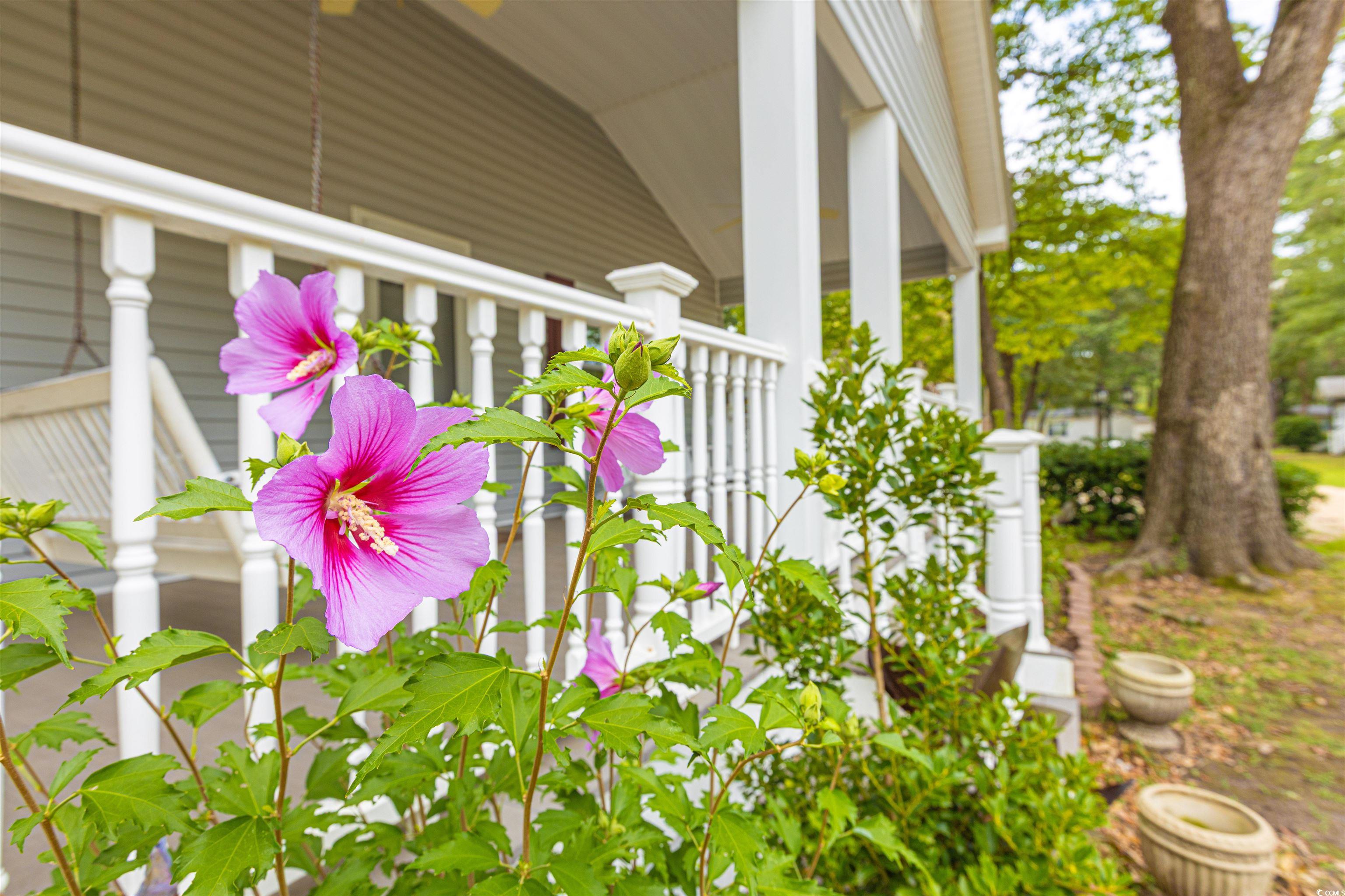 517 Porter Drive Murrells Inlet, SC 29576 - Photo 3 of 40 Exterior view