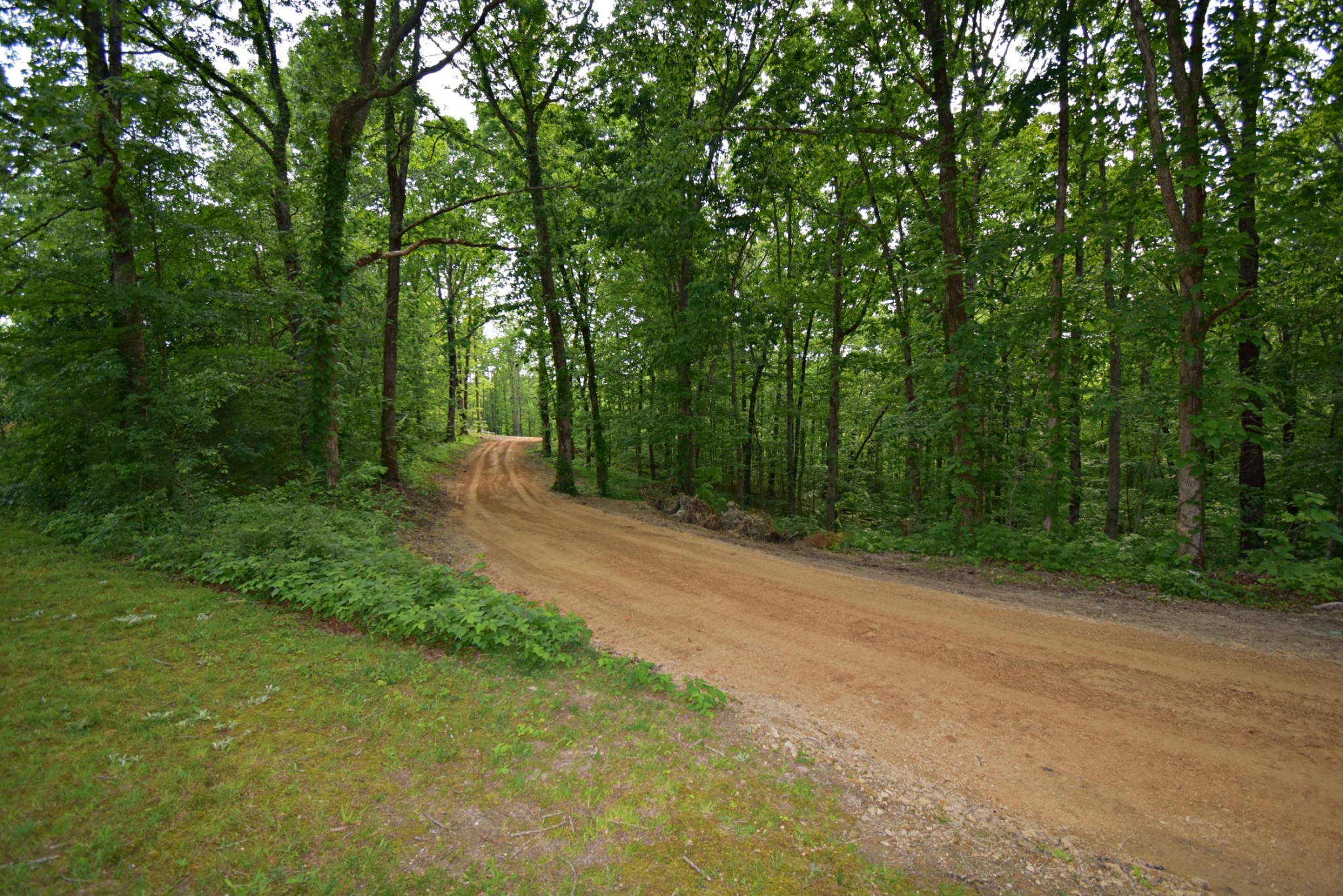 0 Dail Hollow Road Hohenwald, TN 38462 - Photo 1 of 14 Gallery Image 1