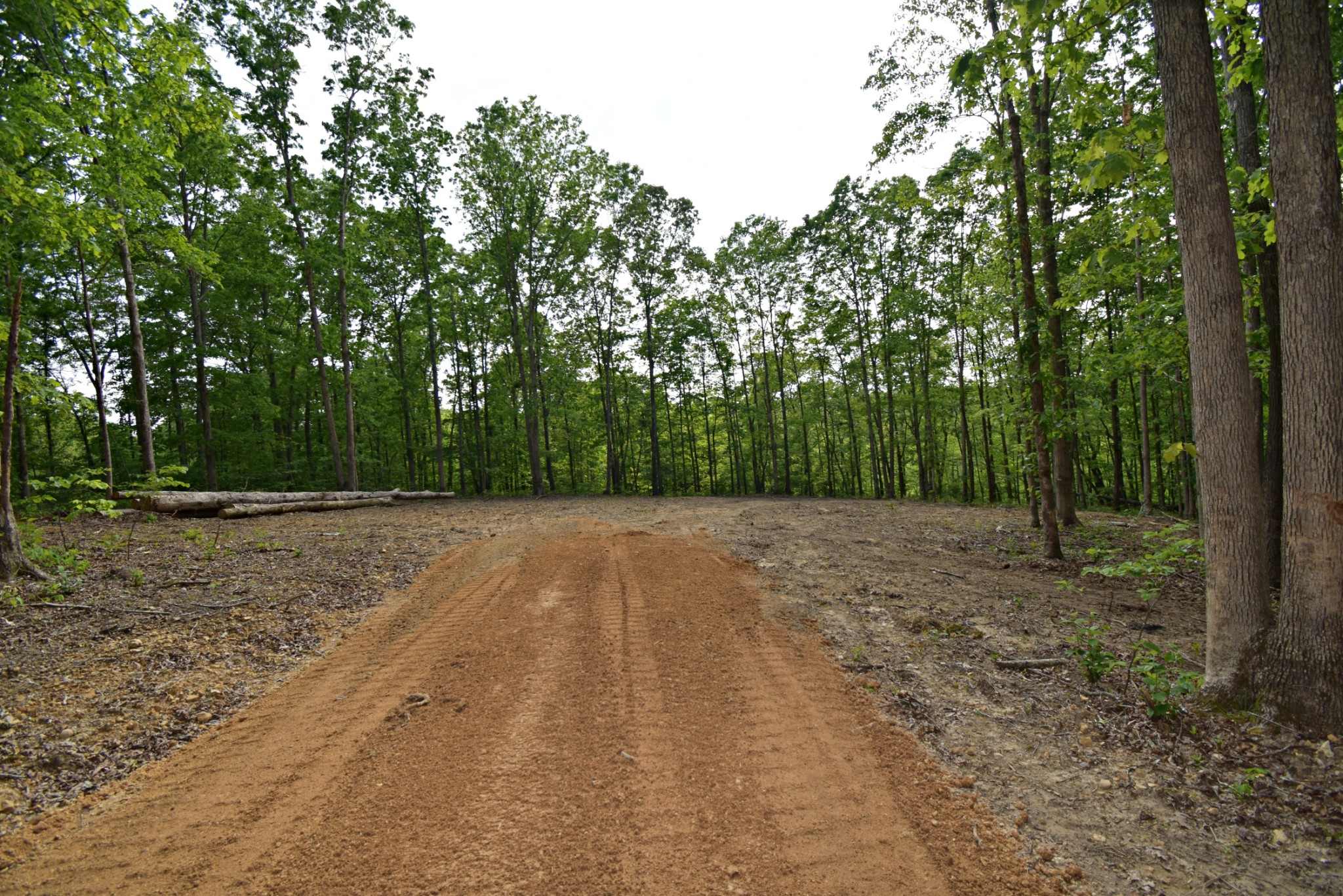 0 Dail Hollow Road Hohenwald, TN 38462 - Photo 11 of 14 Gallery Image 11