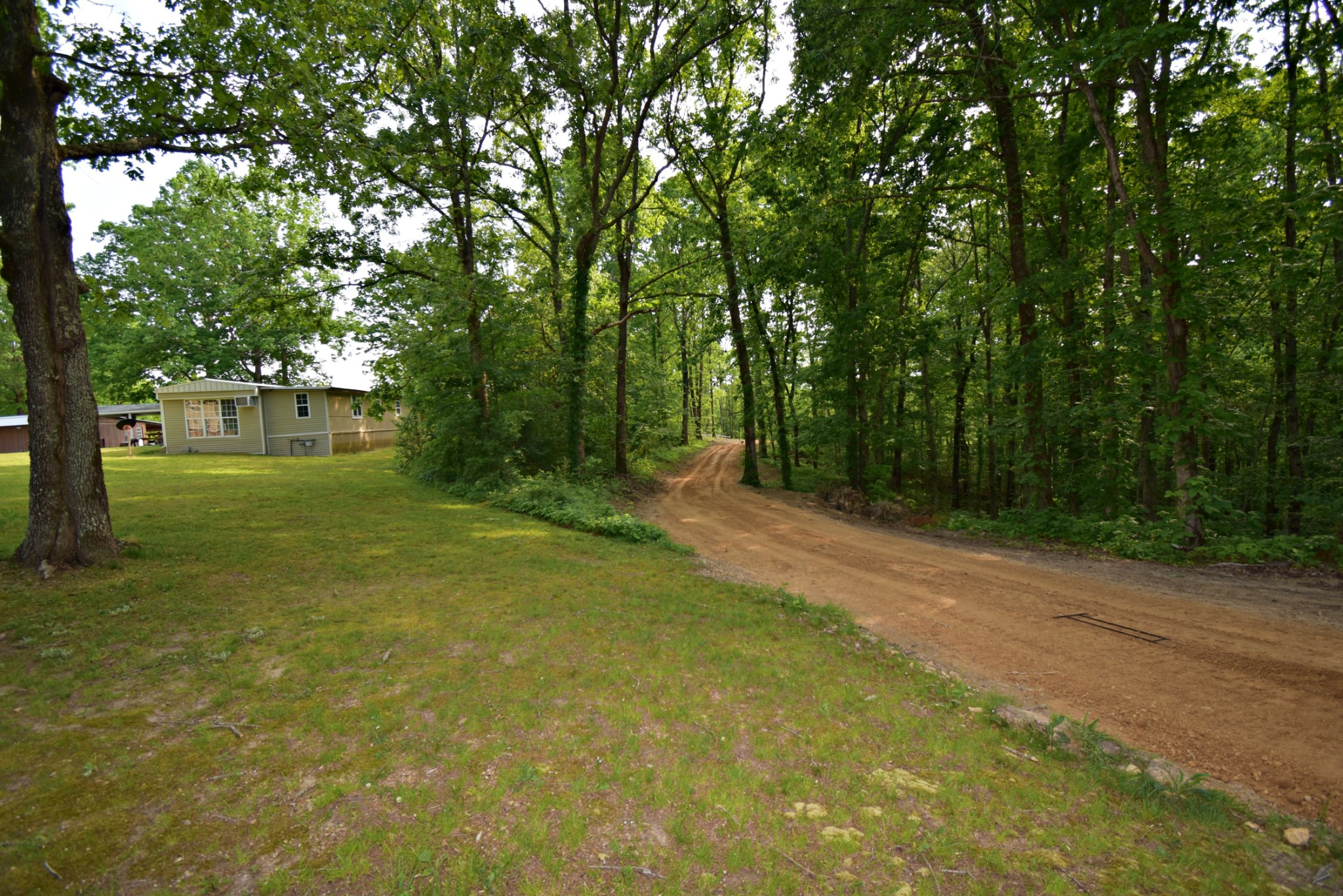 0 Dail Hollow Road Hohenwald, TN 38462 - Photo 13 of 14 Gallery Image 13