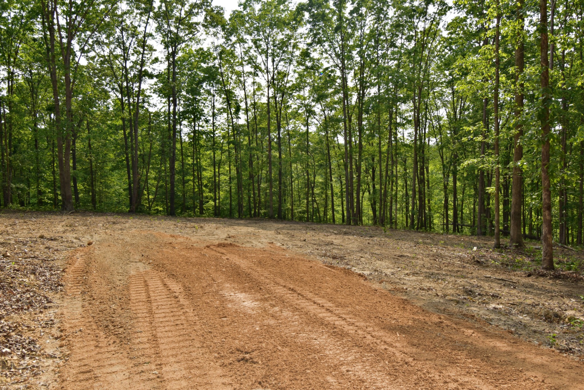 0 Dail Hollow Road Hohenwald, TN 38462 - Photo 2 of 14 Gallery Image 2