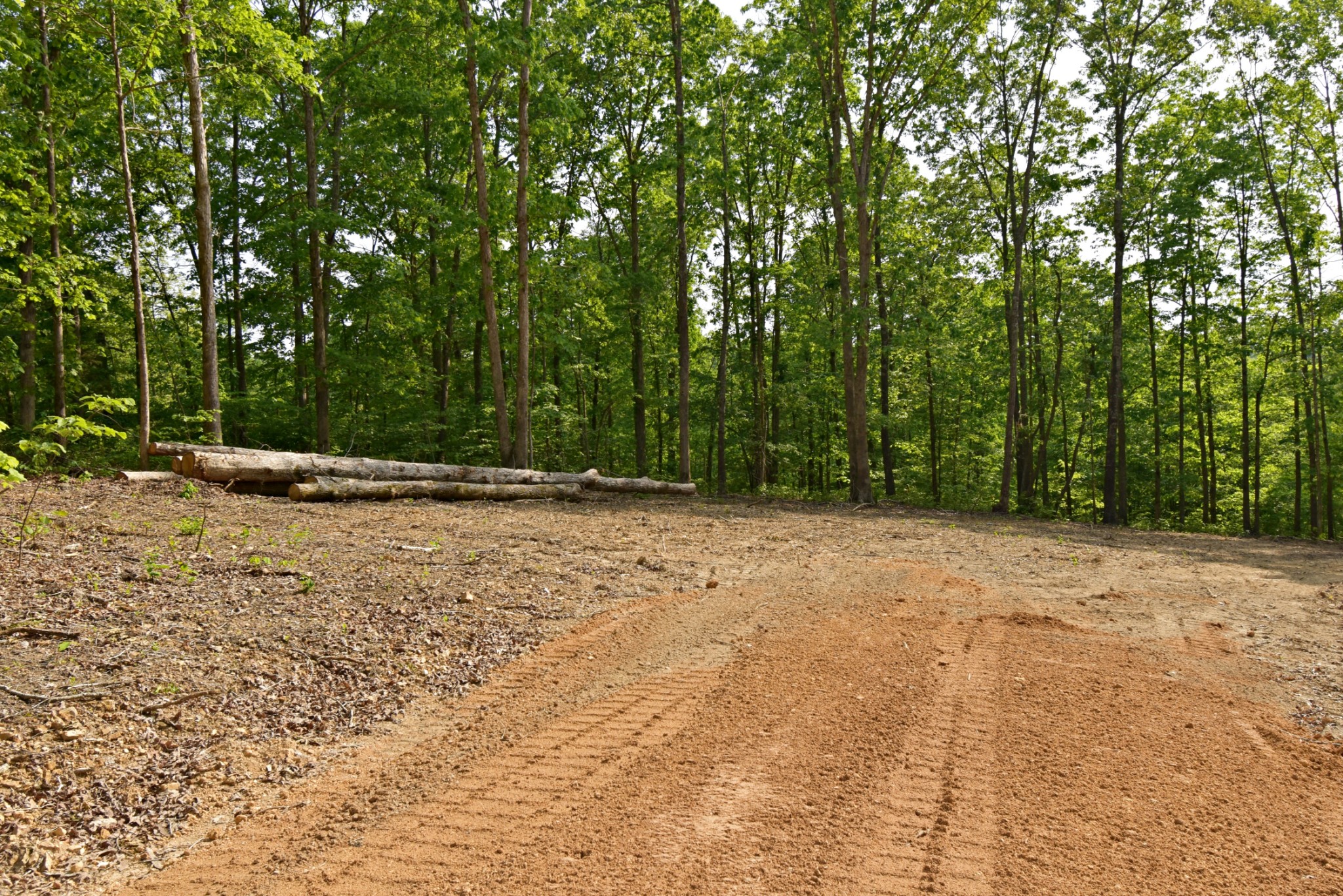 0 Dail Hollow Road Hohenwald, TN 38462 - Photo 3 of 14 Gallery Image 3