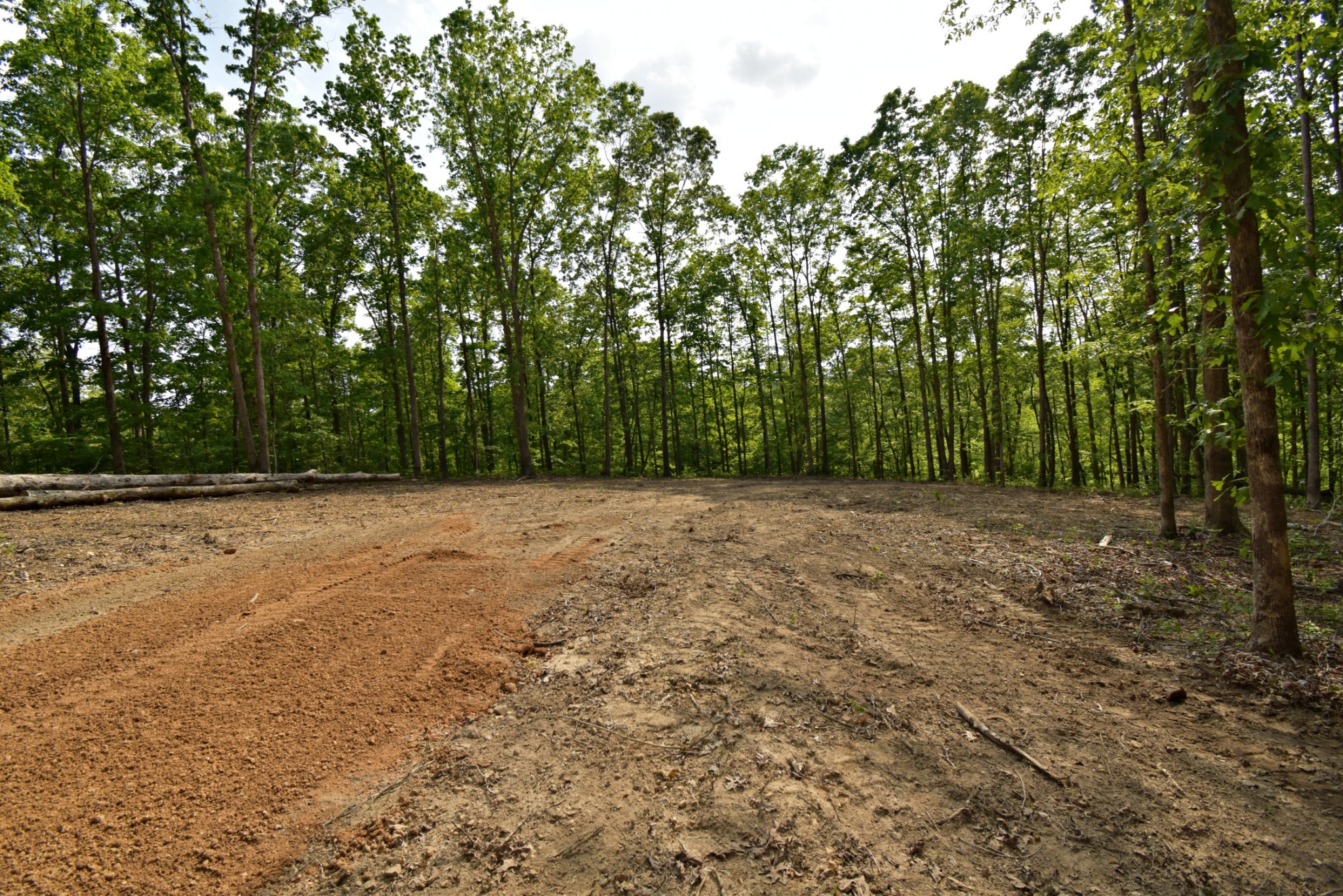 0 Dail Hollow Road Hohenwald, TN 38462 - Photo 6 of 14 Gallery Image 6