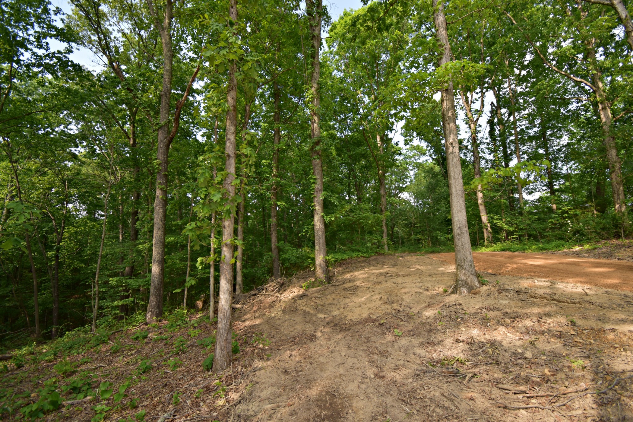 0 Dail Hollow Road Hohenwald, TN 38462 - Photo 8 of 14 Gallery Image 8