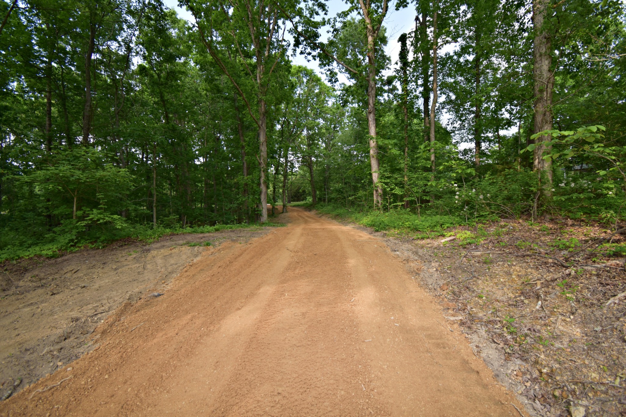 0 Dail Hollow Road Hohenwald, TN 38462 - Photo 9 of 14 Gallery Image 9