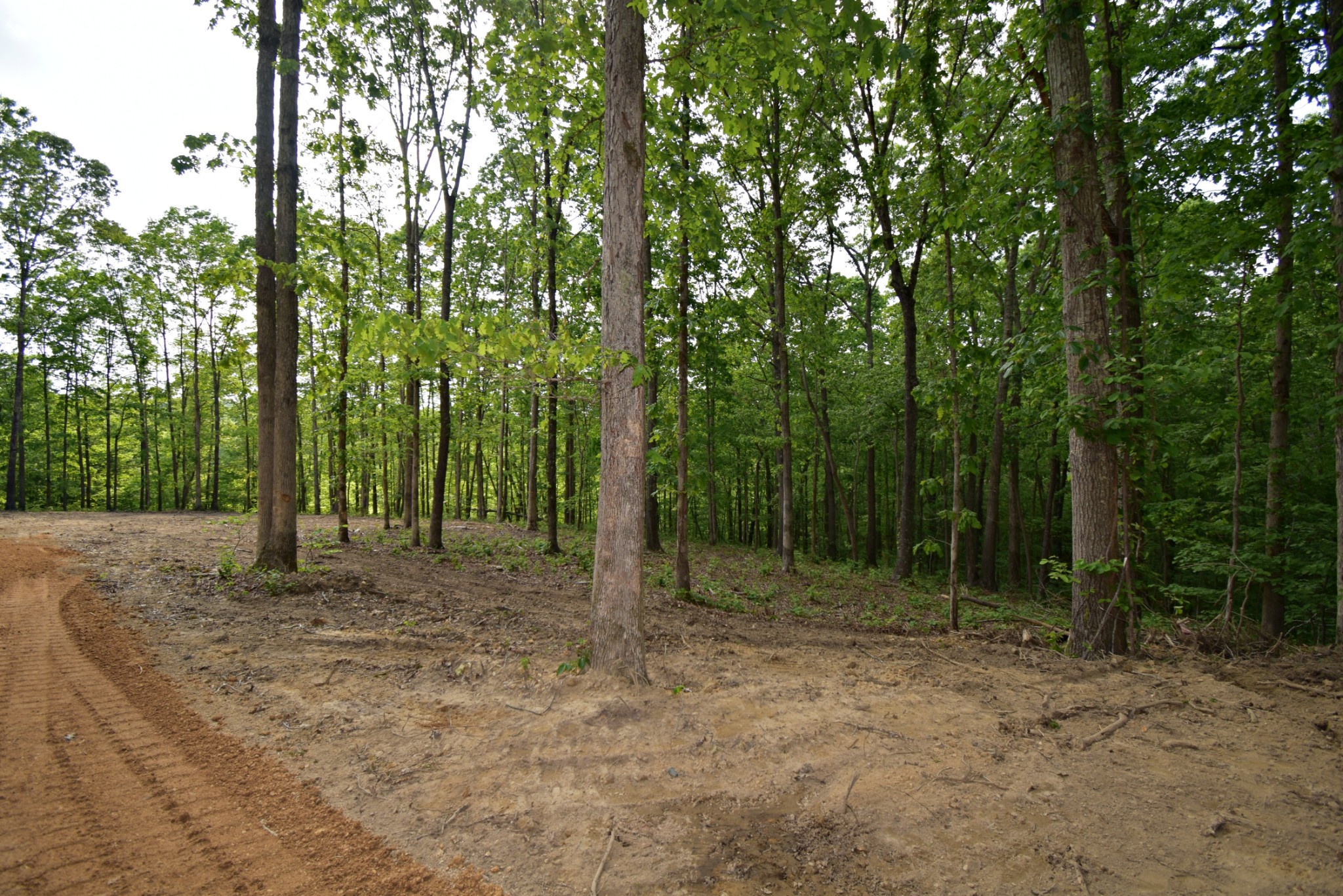 0 Dail Hollow Road Hohenwald, TN 38462 - Photo 10 of 14 Gallery Image 10