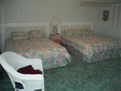 11325 Elizabeth Drive Three Rivers, MI 49093 - Photo 19 of 21 Additional Photo