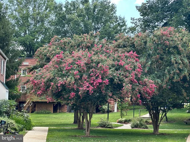 $850,000 | 6721 Kenwood Forest Lane, Unit 45, Chevy Chase, MD 20815