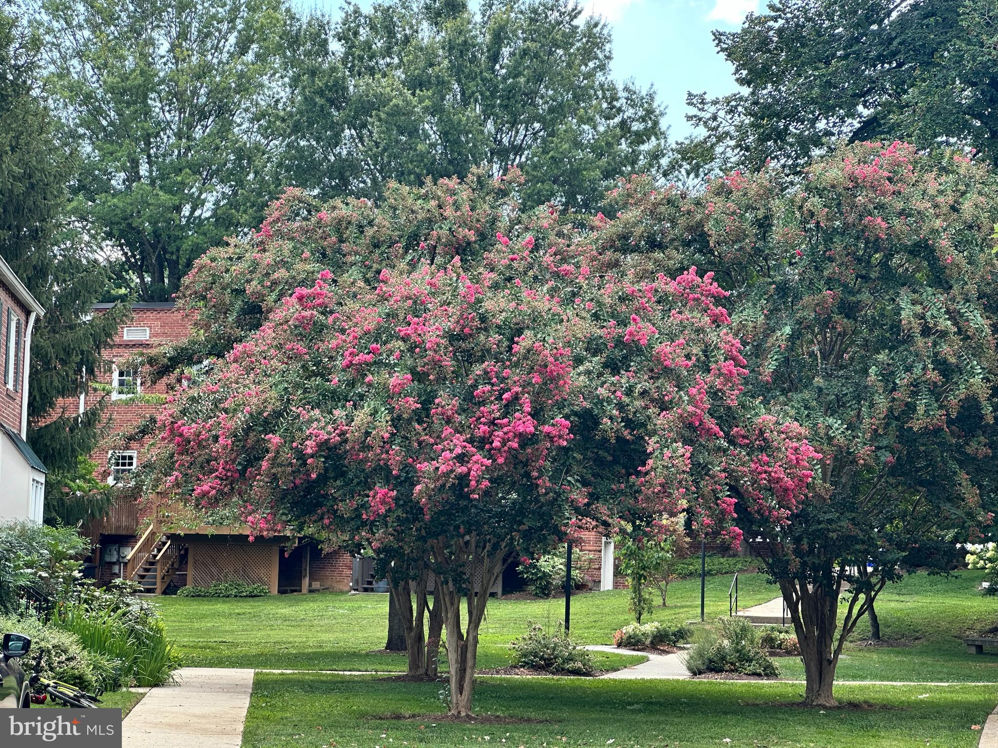 6721 Kenwood Forest Lane, Unit 45 Chevy Chase, MD 20815 - Photo 32 of 35 a front view of a house with a tree and a yard