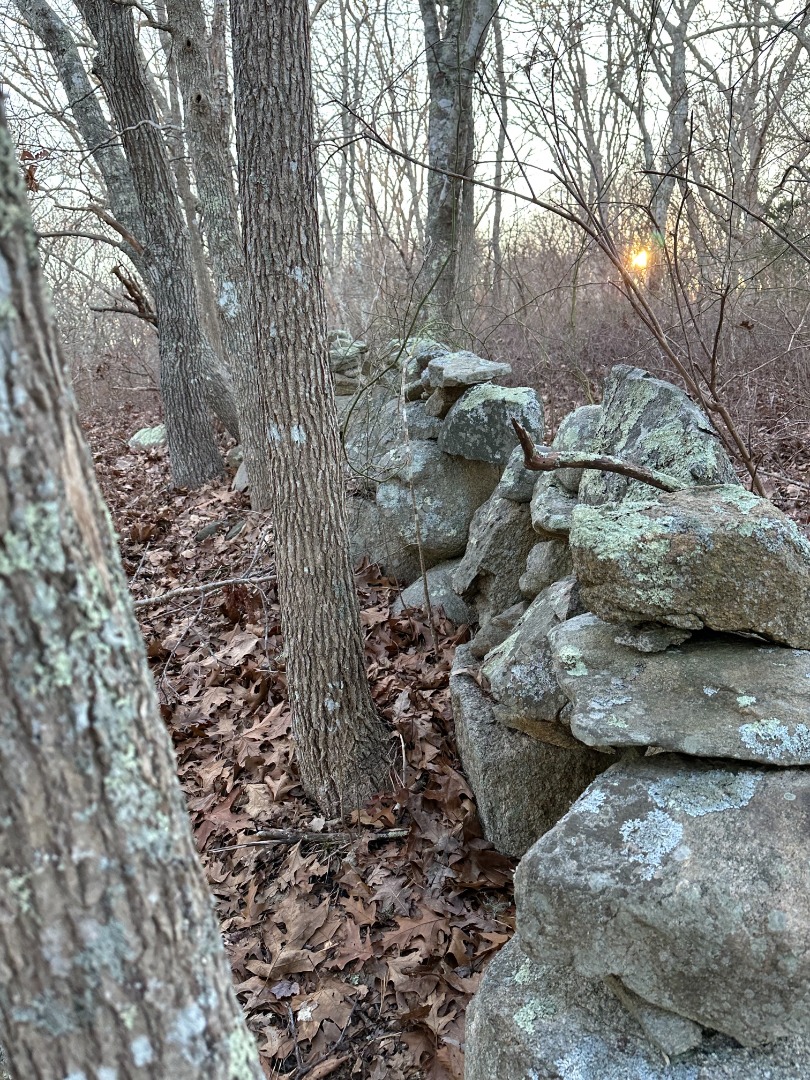34 Ebens Lane Chilmark, MA 02535 - Photo 4 of 4 a view of outdoor space