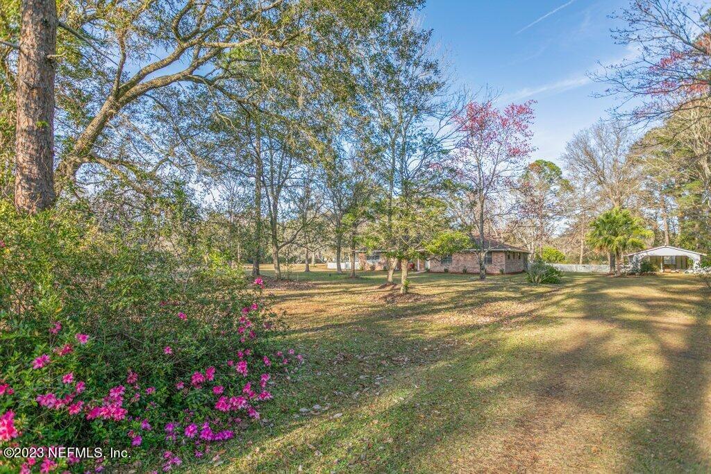 1271 Sheffield Road Jacksonville, FL 32259 - Photo 6 of 19 a view of road with large trees
