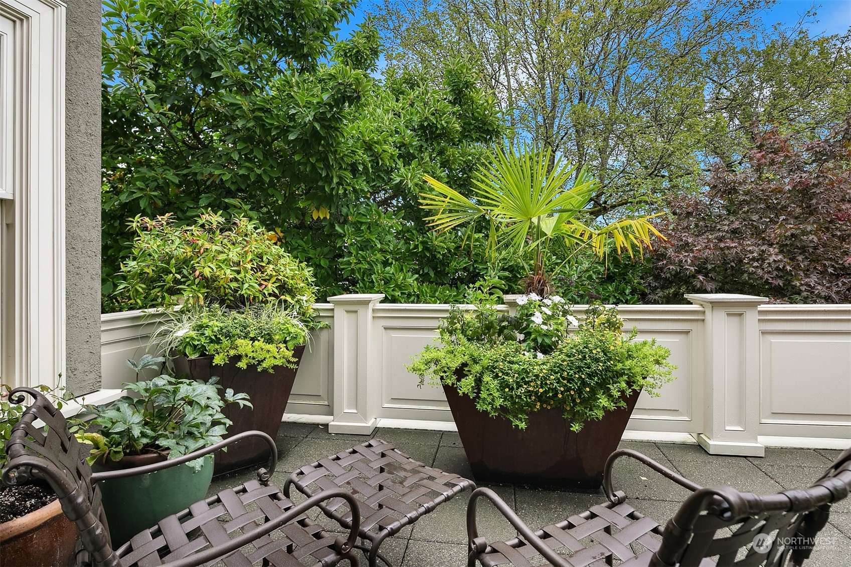 1121 22nd Avenue East Seattle, WA 98112 - Photo 18 of 40 a view of a flower in a garden