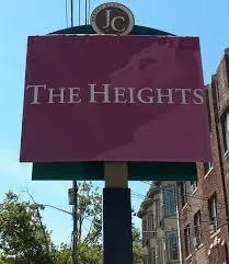 a park with tall trees