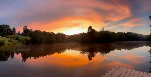 a view of a town with large trees