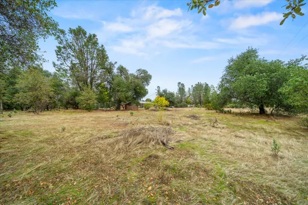 a view of yard with green space