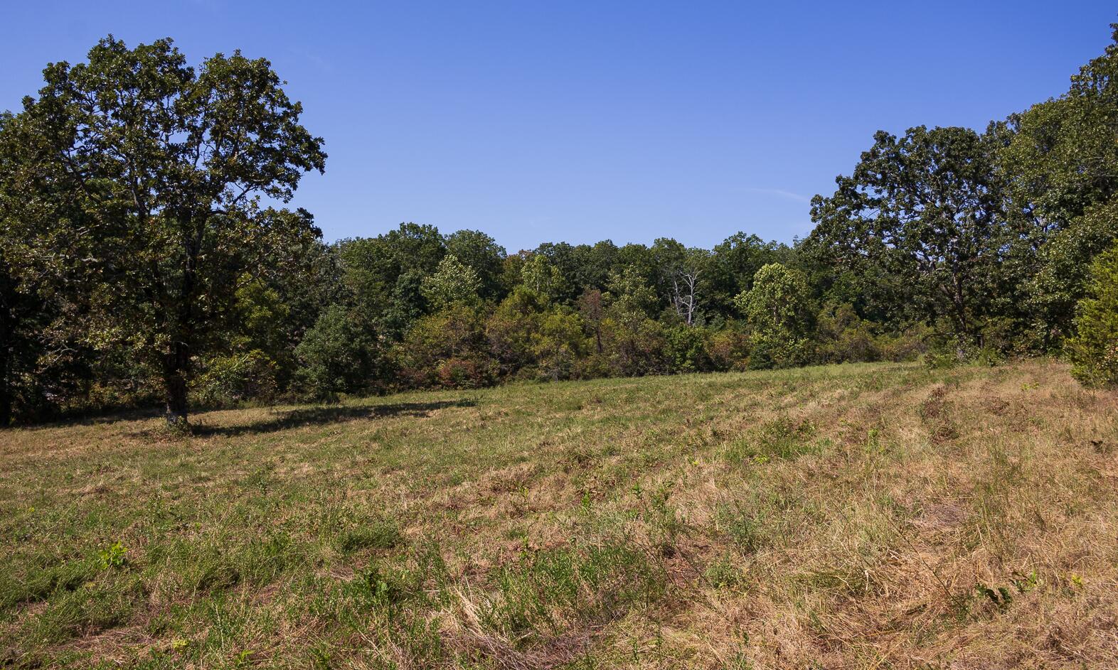 7 Route Ava, MO 65608 - Photo 101 of 111 Lower Pasture