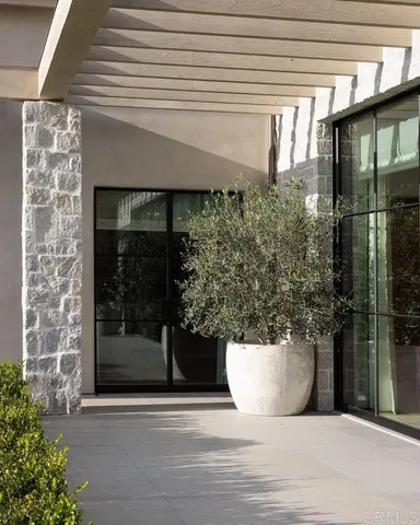 a view of a potted plant in front of a door