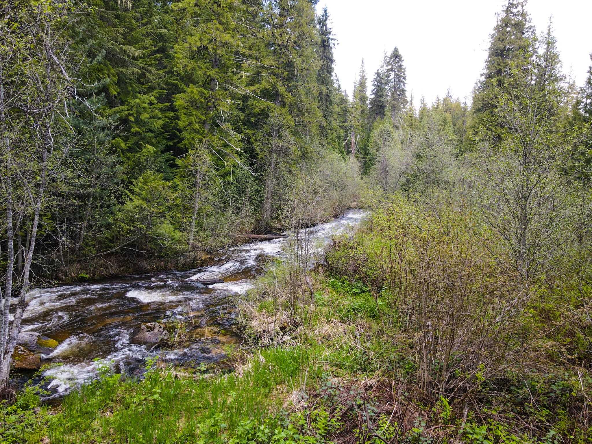 1222 Lucky Keystone Road Cusick, WA 99119 - Photo 13 of 20