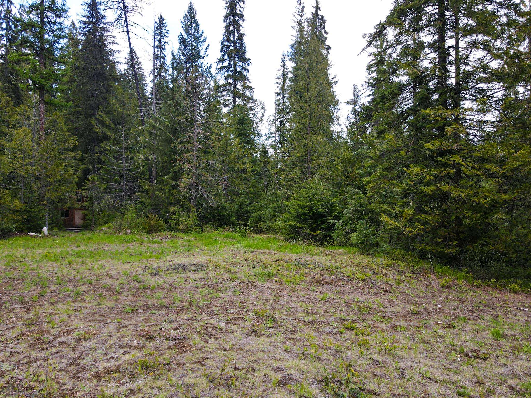 1222 Lucky Keystone Road Cusick, WA 99119 - Photo 7 of 20
