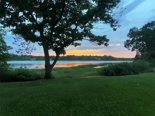 a view of a trees with a yard