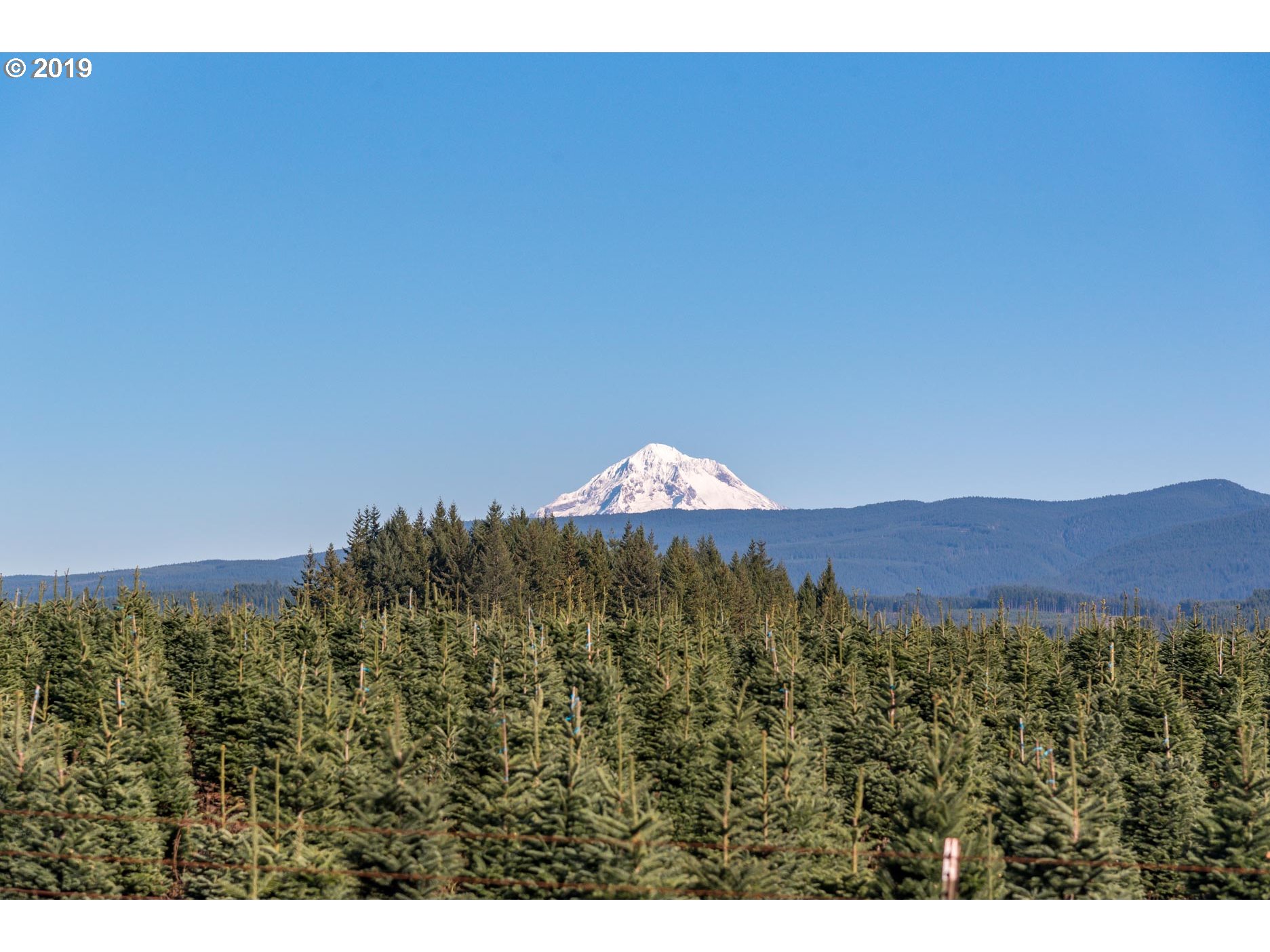 34499 Southeast Divers Road Estacada, OR 97023 - Photo 5 of 32 View