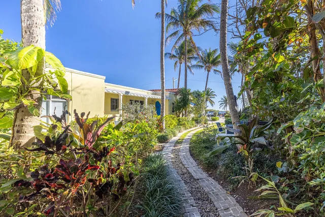 a view of a potted plants in front of yellow house