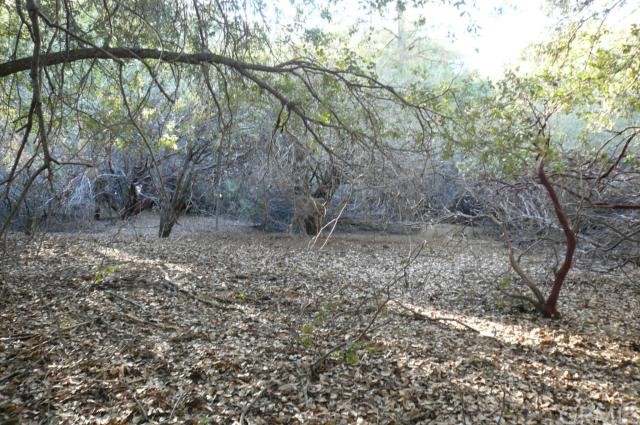 2382 Rainbow Road Mariposa, CA 95338 - Photo 1 of 1 Can you find the deer in this photo?