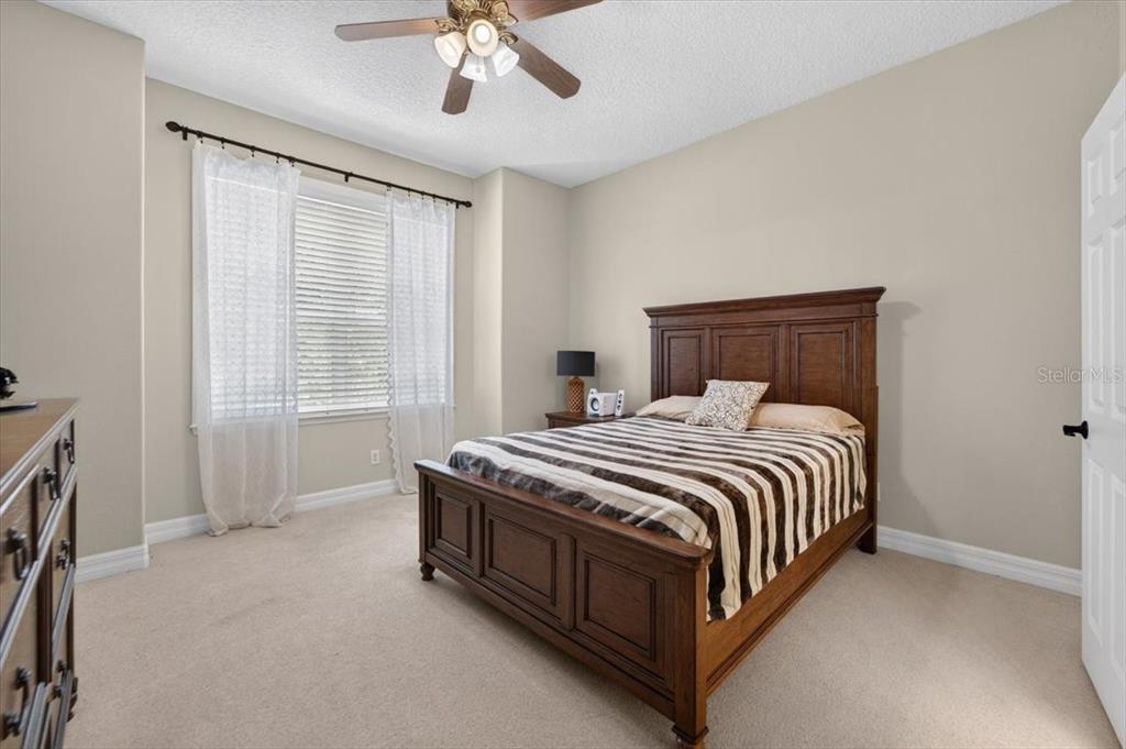 15707 Cochester Road Tampa, FL 33647 - Photo 58 of 95