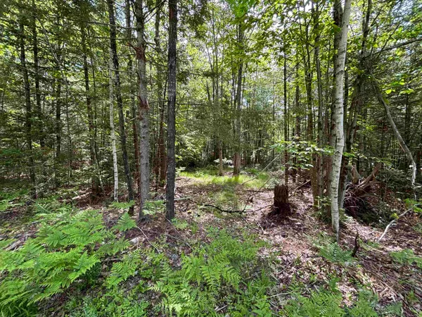 $37,500 | 37446 North Shore/washington Drive, Center Barnstead, NH 03225