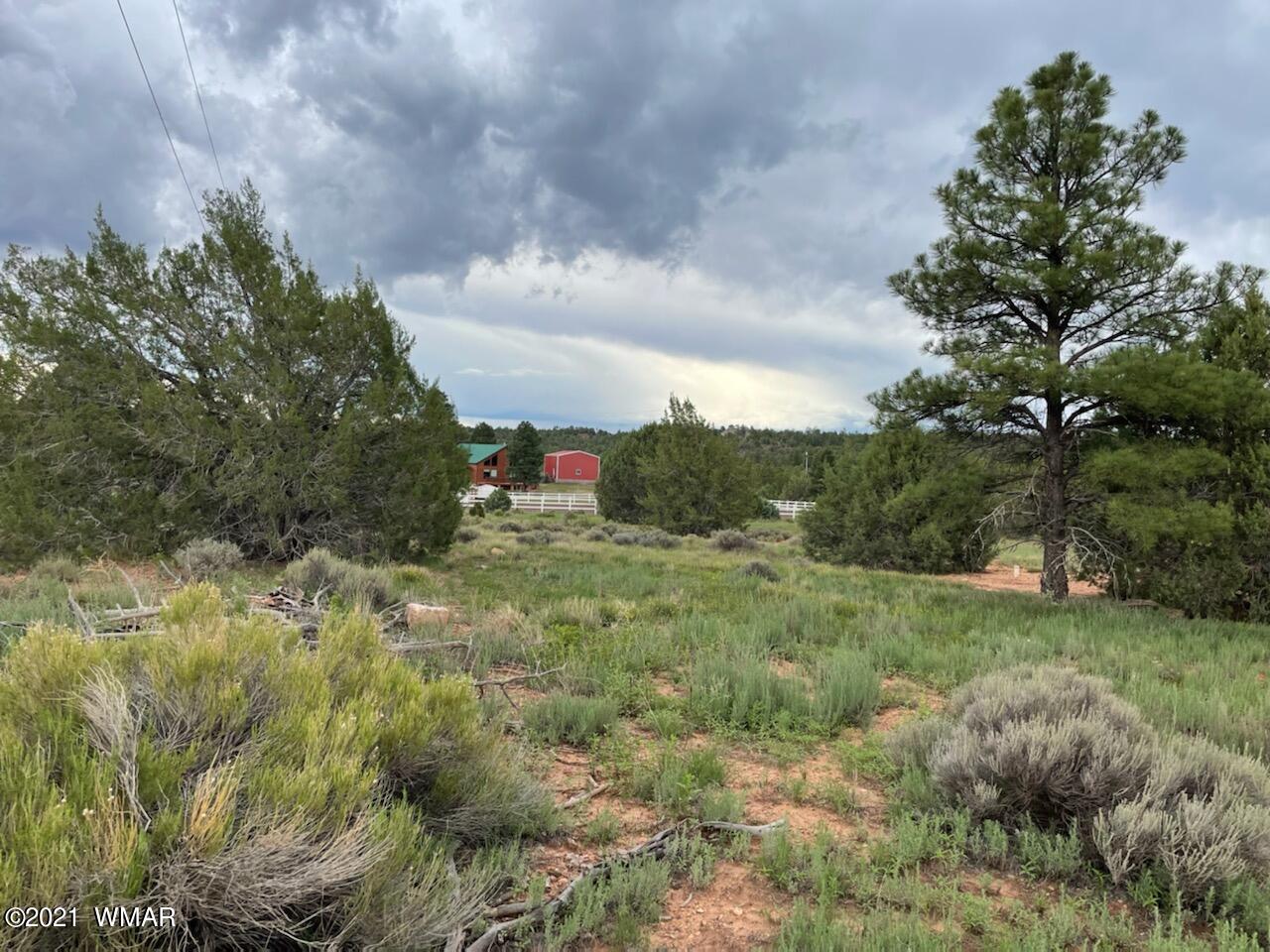 Lot 34 Smith Ranch Road Show Low, AZ 85901 - Photo 1 of 11