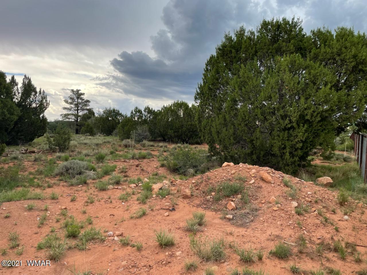 Lot 34 Smith Ranch Road Show Low, AZ 85901 - Photo 11 of 11