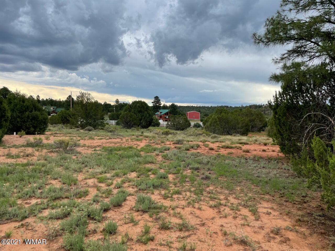 Lot 34 Smith Ranch Road Show Low, AZ 85901 - Photo 2 of 11