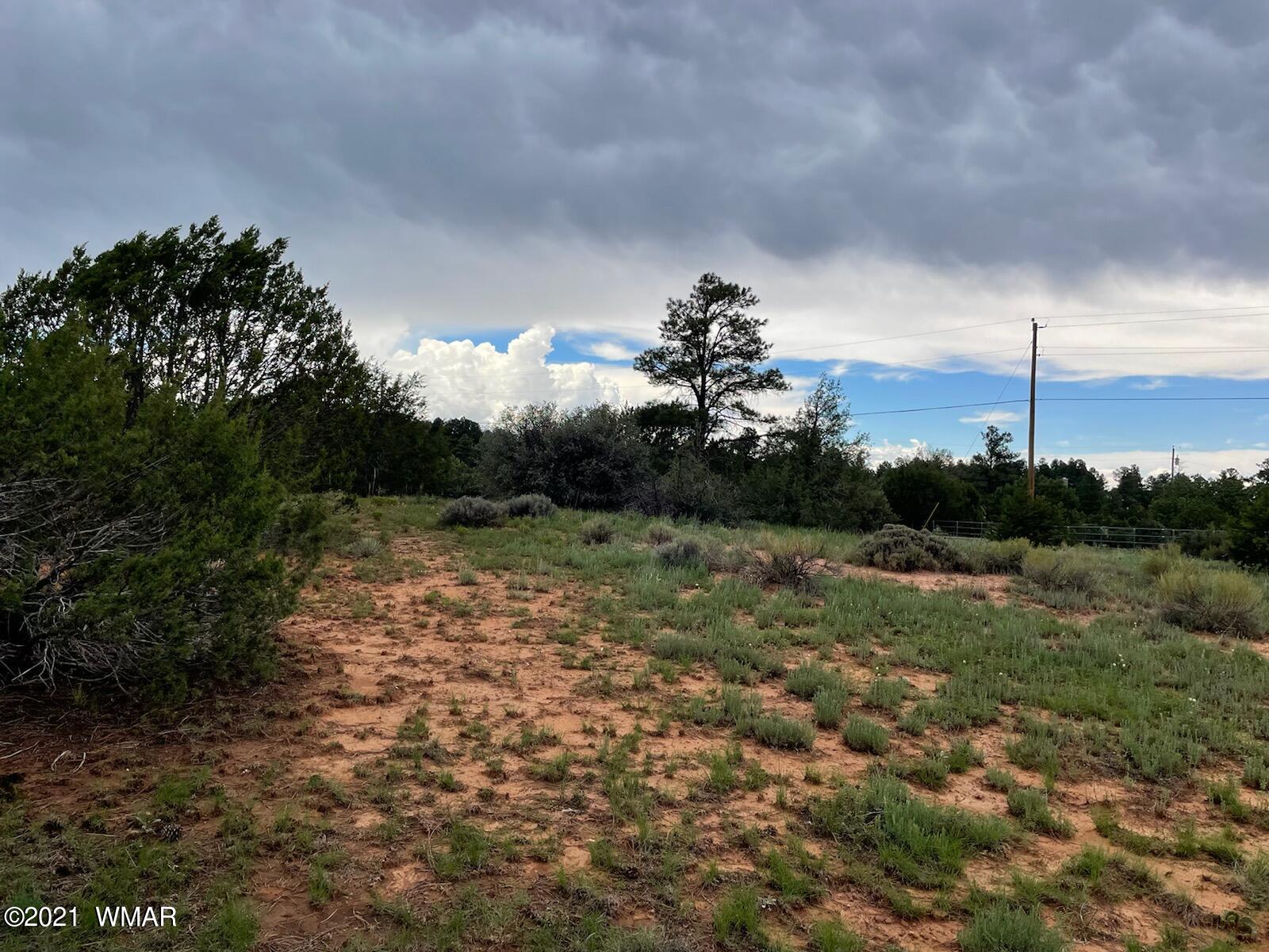 Lot 34 Smith Ranch Road Show Low, AZ 85901 - Photo 3 of 11