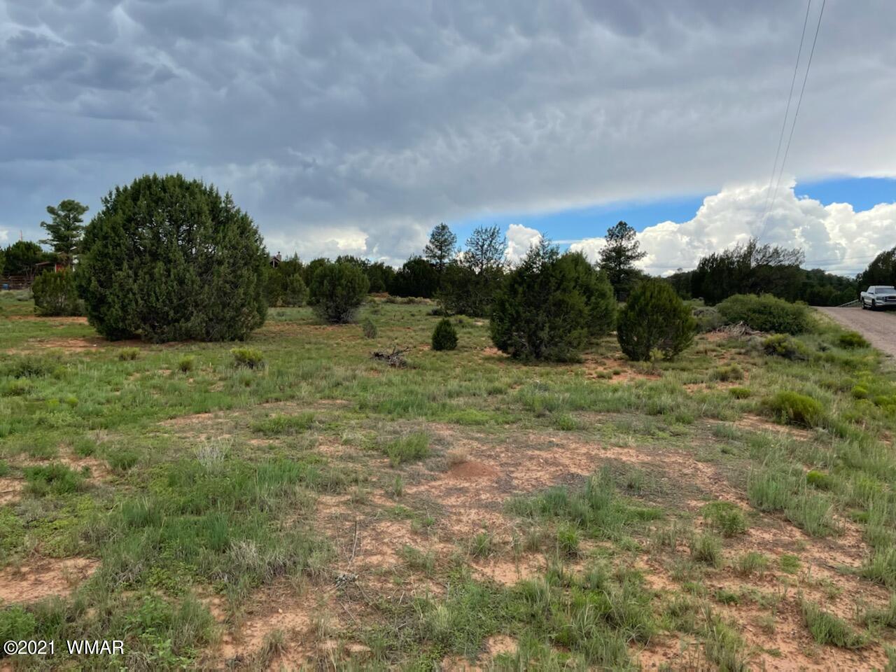 Lot 34 Smith Ranch Road Show Low, AZ 85901 - Photo 4 of 11