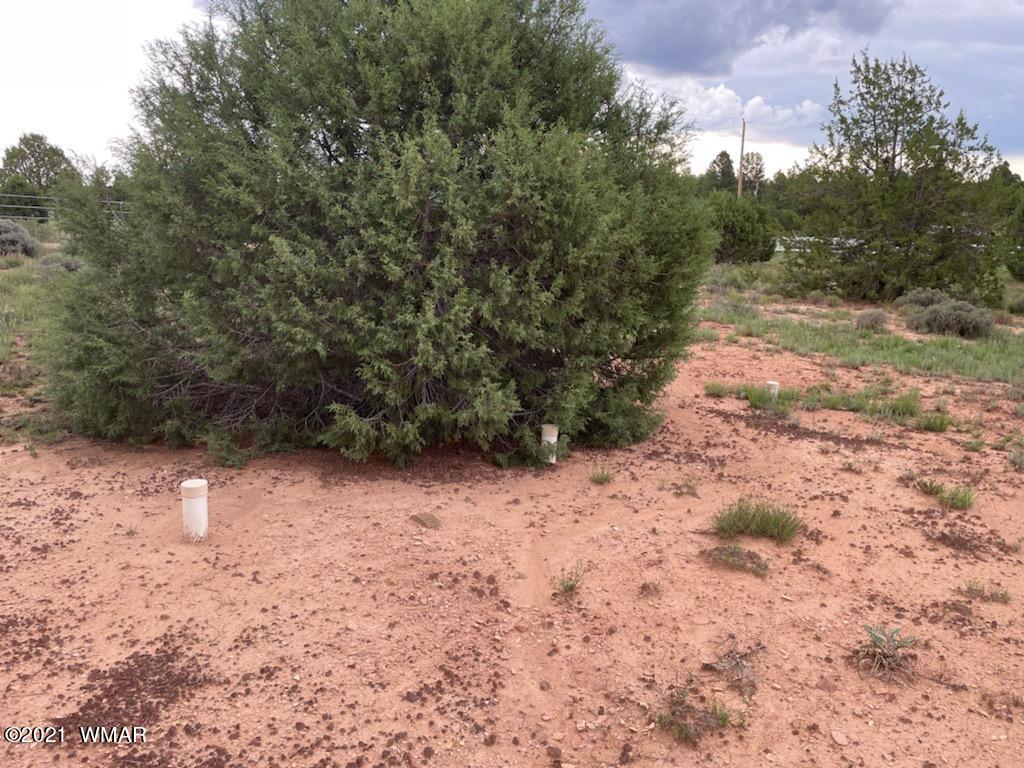 Lot 34 Smith Ranch Road Show Low, AZ 85901 - Photo 6 of 11