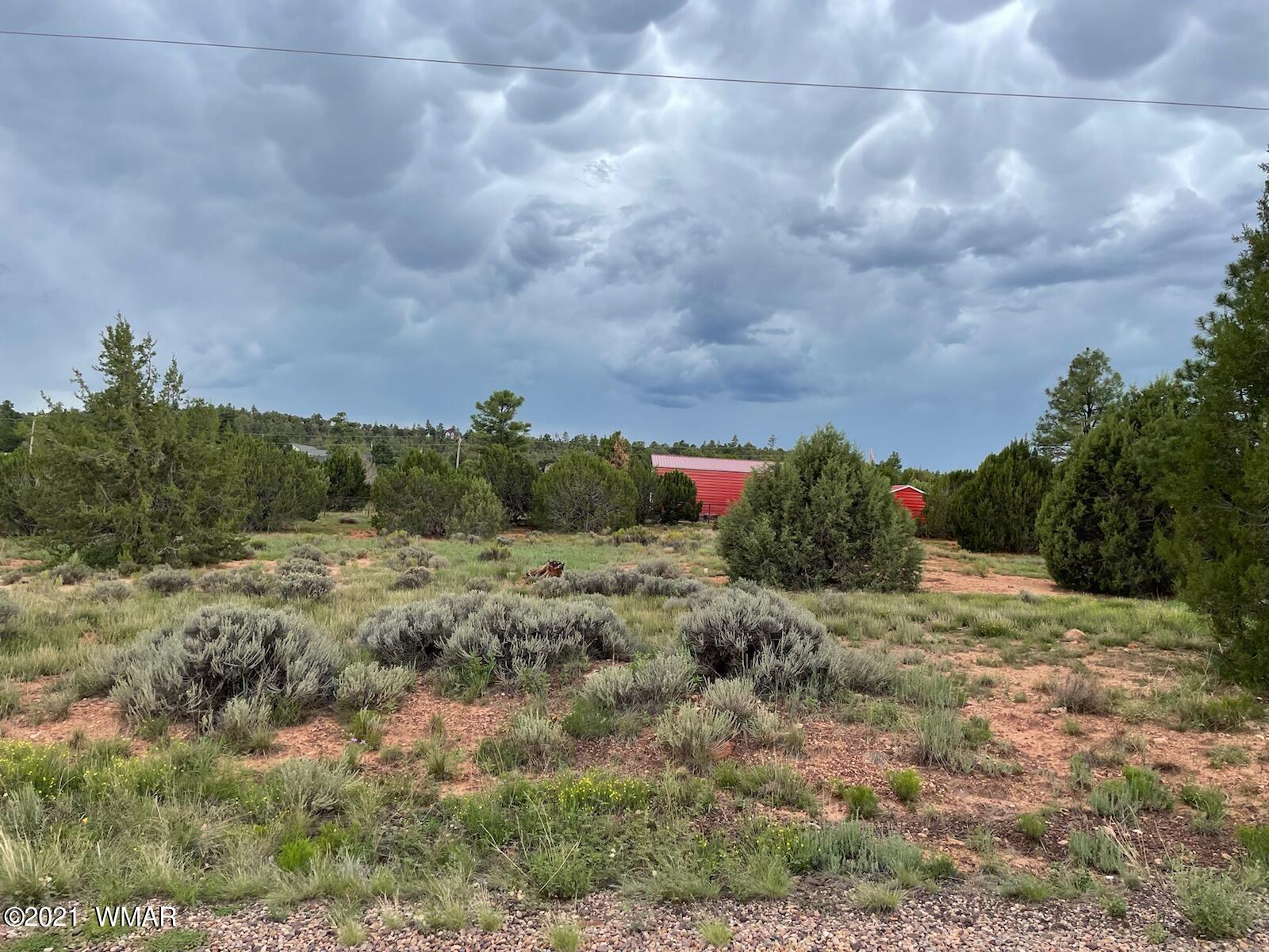 Lot 34 Smith Ranch Road Show Low, AZ 85901 - Photo 7 of 11