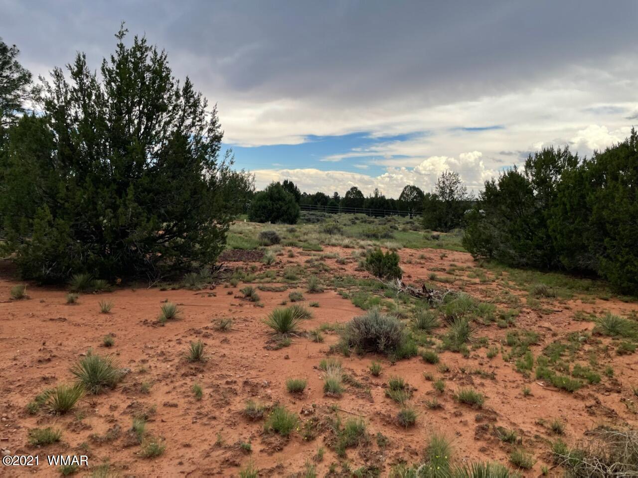 Lot 34 Smith Ranch Road Show Low, AZ 85901 - Photo 8 of 11