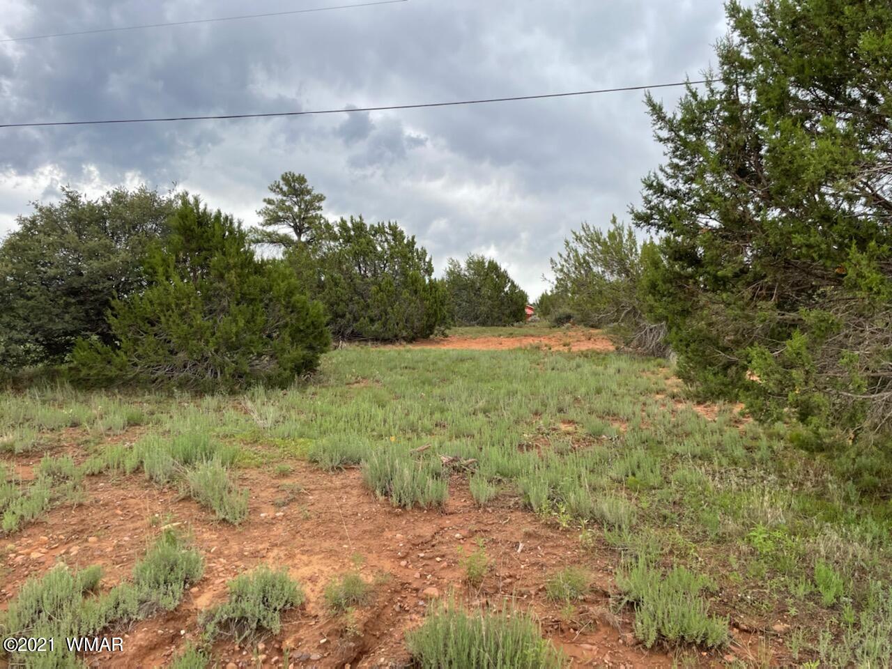 Lot 34 Smith Ranch Road Show Low, AZ 85901 - Photo 9 of 11