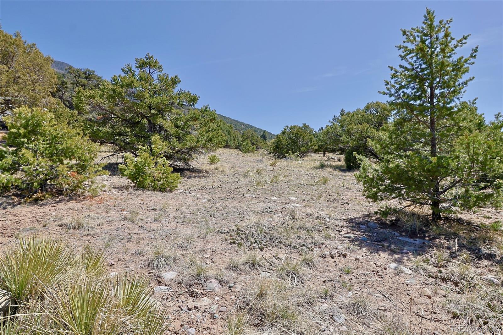 4319 Rambling Way Crestone, CO 81131 - Photo 2 of 13