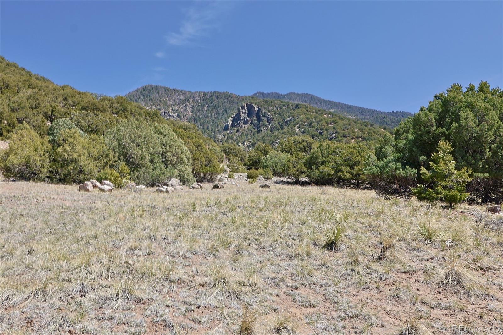 4319 Rambling Way Crestone, CO 81131 - Photo 4 of 13