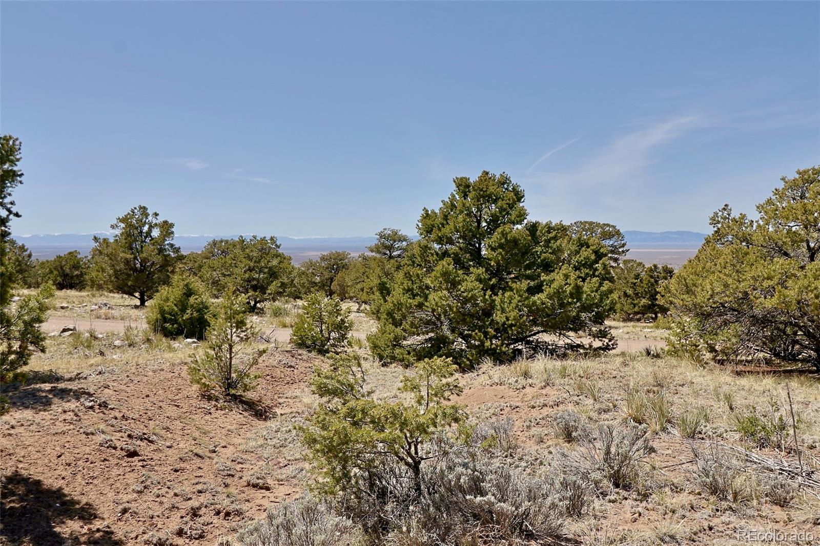 4319 Rambling Way Crestone, CO 81131 - Photo 7 of 13
