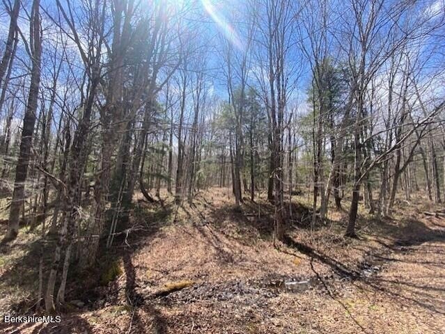 0 Main Road North Adams, MA 01247 - Photo 4 of 7 Gallery Image 4