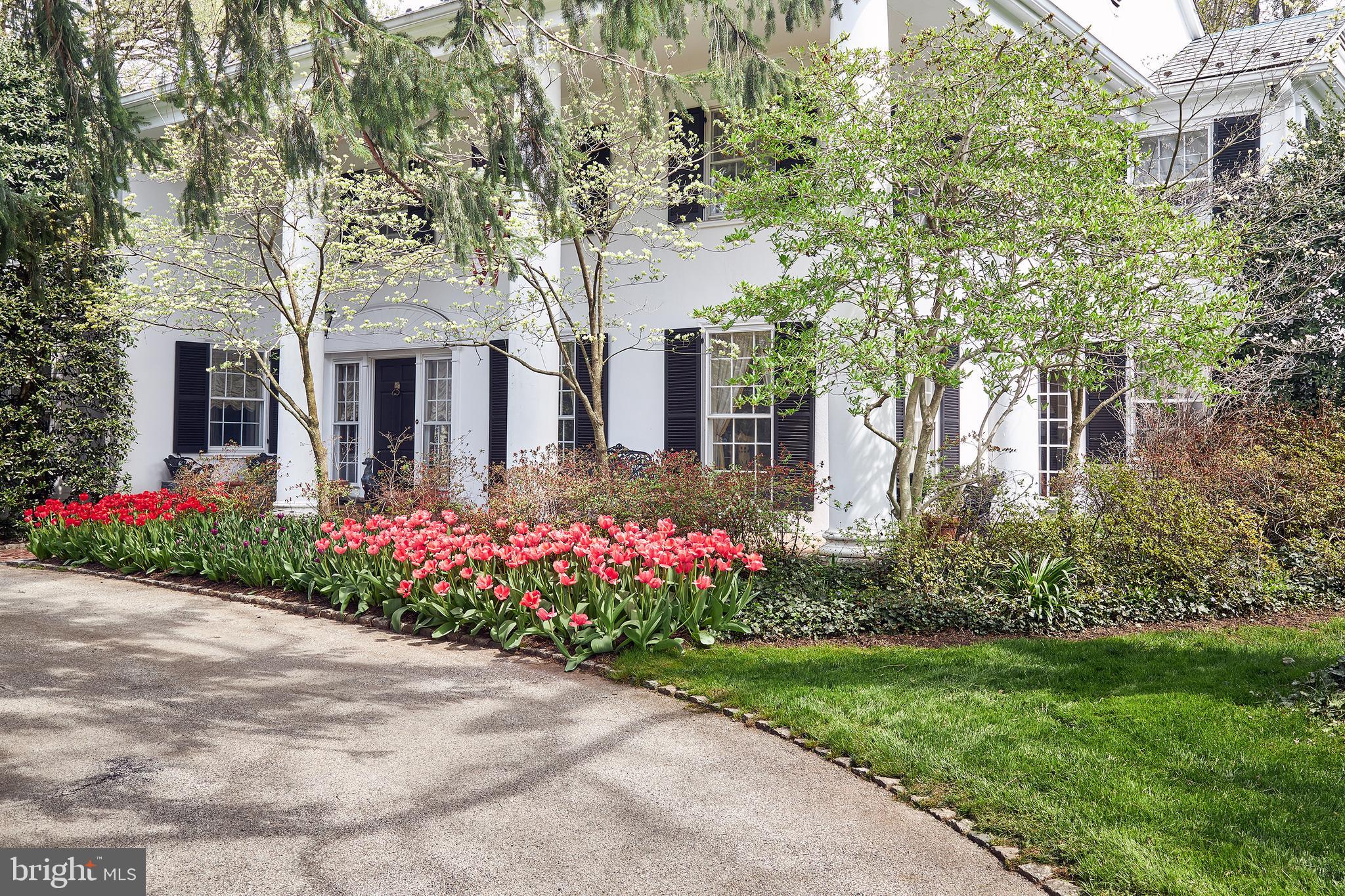 317 Ingeborg Road Wynnewood, PA 19096 - Photo 3 of 46