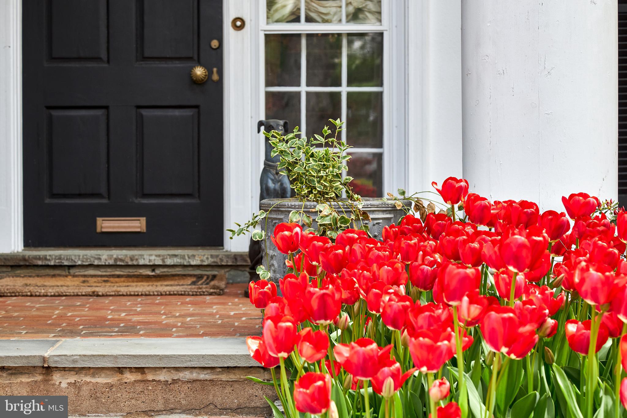 317 Ingeborg Road Wynnewood, PA 19096 - Photo 8 of 46