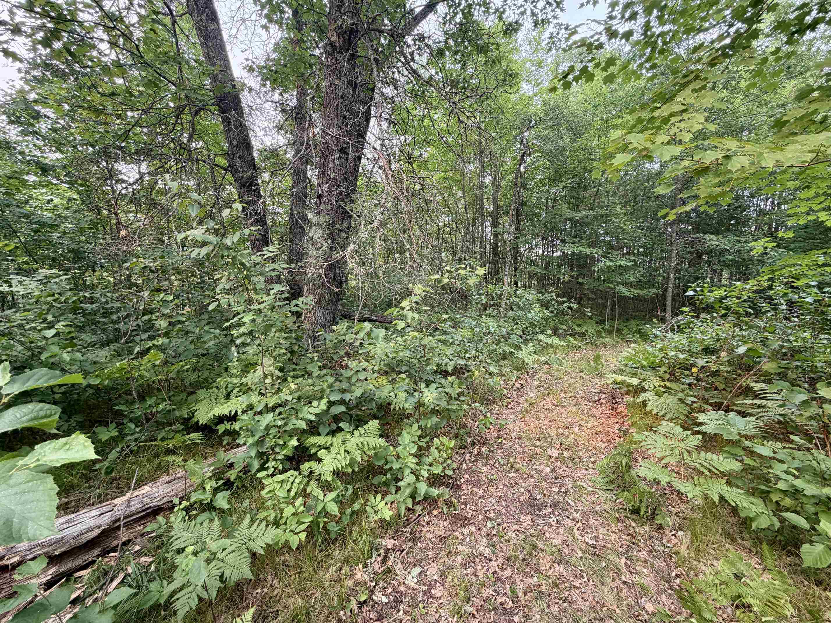 Merlin Lane Crivitz, WI 54114 - Photo 2 of 10