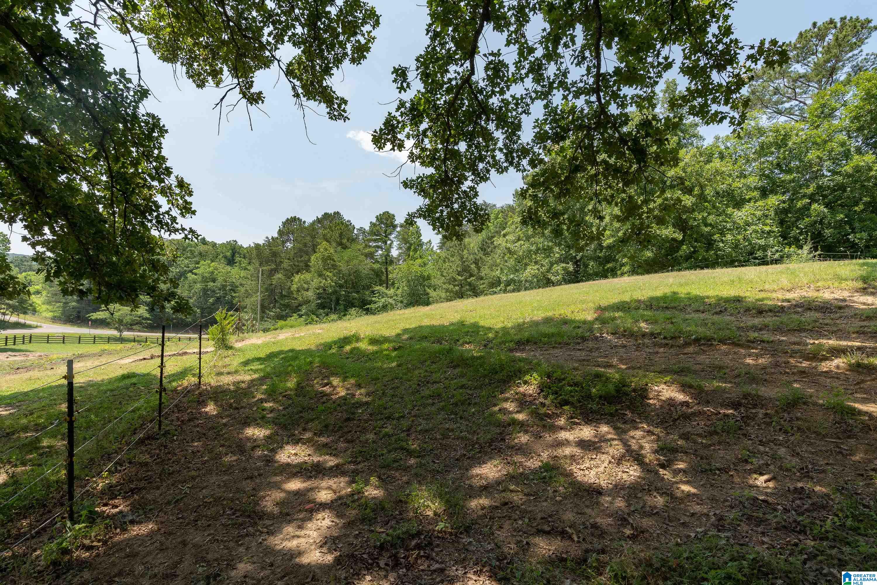 1034 Bob Glenn Road Morris, AL 35116 - Photo 44 of 60