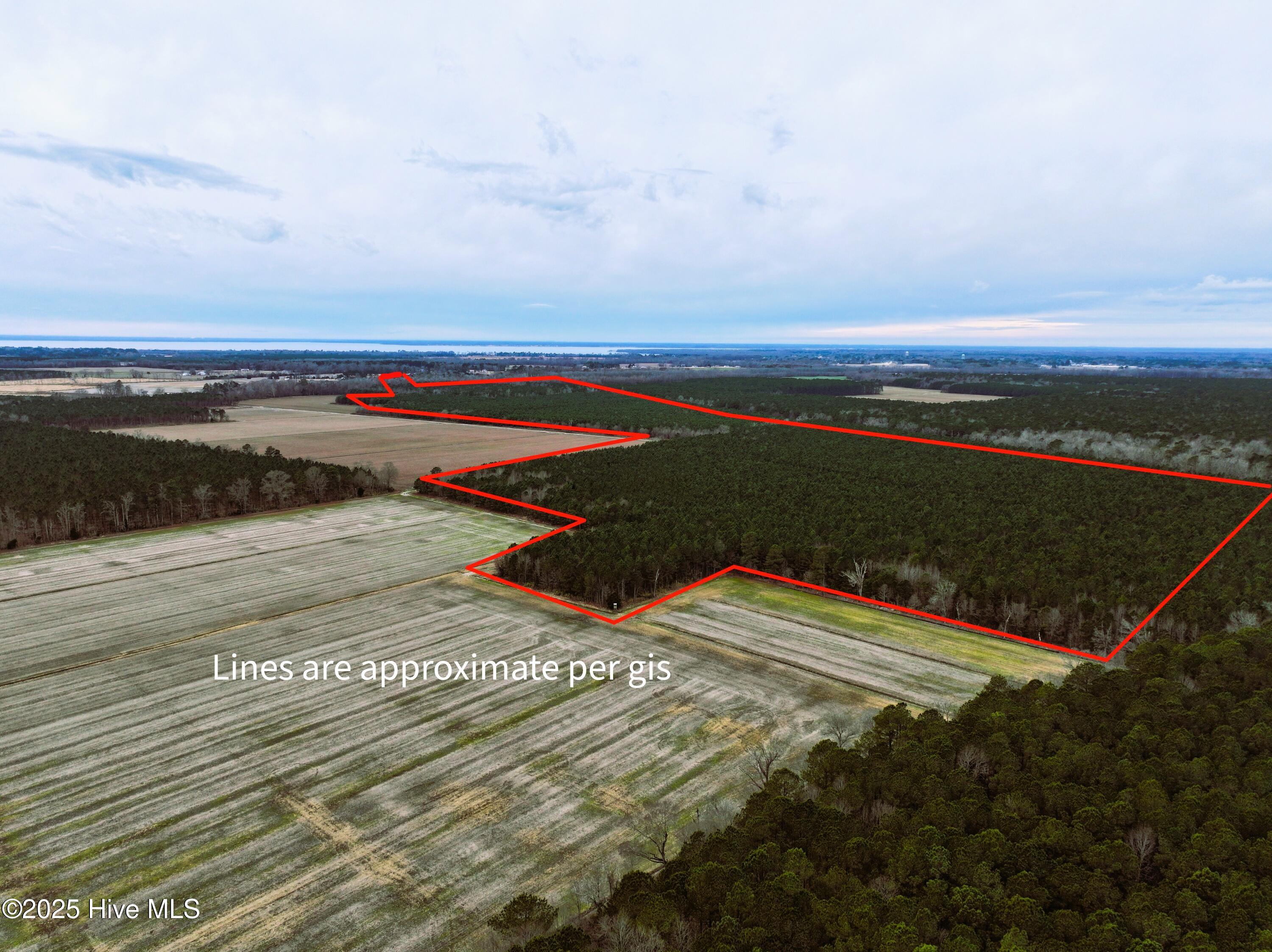 0 Yeopim Road Edenton, NC 27932 - Photo 6 of 6 Both Tracts 35.065 & 157.37